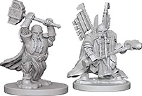 Nolzur's Marvelous Unpainted Minis: Dwarf Male Paladin