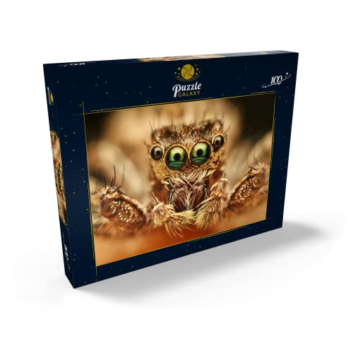 Ojos De Araña - Premium 100 Piezas Puzzles - Colección Especial MyPuzzle de Puzzle Galaxy