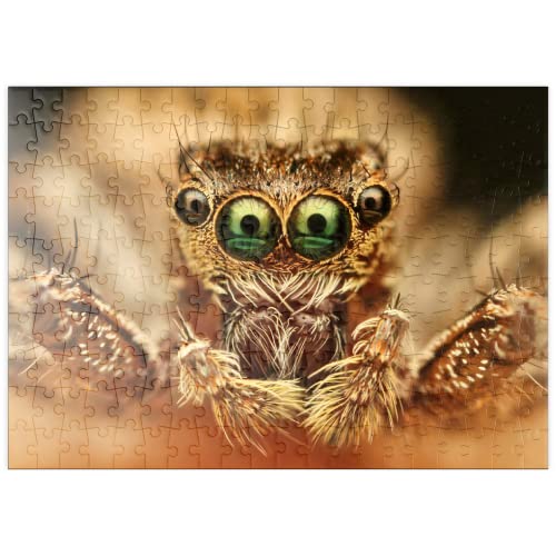 Ojos De Araña - Premium 200 Piezas Puzzles - Colección Especial MyPuzzle de Puzzle Galaxy