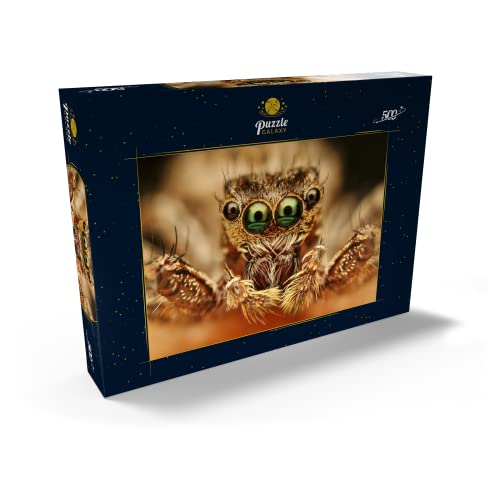 Ojos De Araña - Premium 500 Piezas Puzzles - Colección Especial MyPuzzle de Puzzle Galaxy