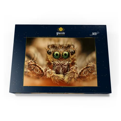 Ojos De Araña - Premium 500 Piezas Puzzles - Colección Especial MyPuzzle de Puzzle Galaxy