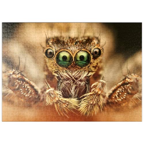 Ojos De Araña - Premium 500 Piezas Puzzles - Colección Especial MyPuzzle de Puzzle Galaxy