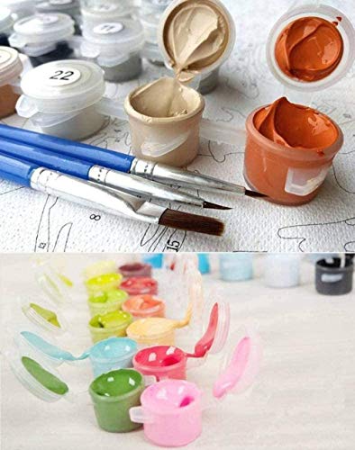 QIAOYUE Pintar por números para un Delicioso Plato de Frutas Bodegón Adulto y niños Kit de Pintura DIY Principiante Pintura Arte Lienzo preimpreso 40X50CM sin Marco