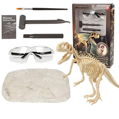 REDO Juguetes de excavación arqueológica de dinosaurios, kit de excavación fósil de esqueleto de dinosaurio, juguetes educativos para niños, el mejor regalo para niños y niñas (tiranosaurio)