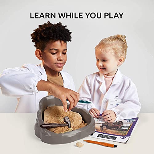 Science Can Kit de Excavación de Fósiles de Dinosaurios - Juegos de Arqueología Infantiles Participativos - Kit para Excavar Fósiles de Tyrannosaurus Rex Stem con Puzzle 3D para Niños de 8 Años y Más