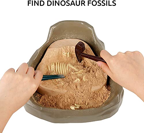 Science Can Kit de Excavación de Fósiles de Dinosaurios - Juegos de Arqueología Infantiles Participativos - Kit para Excavar Fósiles de Tyrannosaurus Rex Stem con Puzzle 3D para Niños de 8 Años y Más