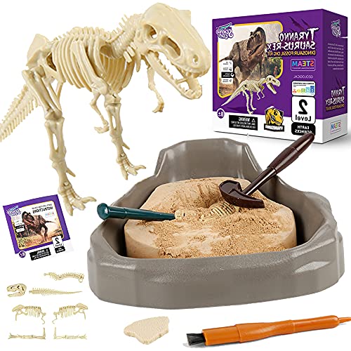 Science Can Kit de Excavación de Fósiles de Dinosaurios - Juegos de Arqueología Infantiles Participativos - Kit para Excavar Fósiles de Tyrannosaurus Rex Stem con Puzzle 3D para Niños de 8 Años y Más