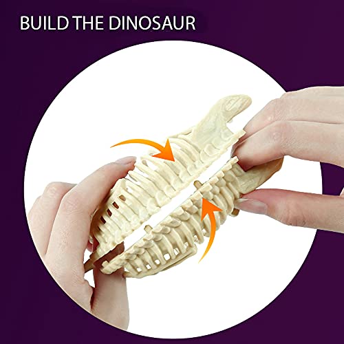 Science Can Kit de Excavación de Fósiles de Dinosaurios - Juegos de Arqueología Infantiles Participativos - Kit para Excavar Fósiles de Tyrannosaurus Rex Stem con Puzzle 3D para Niños de 8 Años y Más