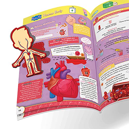 Science4you - El Cuerpo Humano con Peppa Pig para Niños 4-7 Años - Kit Cientifico con 15 Experimentos y Actividades: Esqueleto Humano, Puzzle y Pegatinas Cuerpo Humano, 4+ Años, 80003264