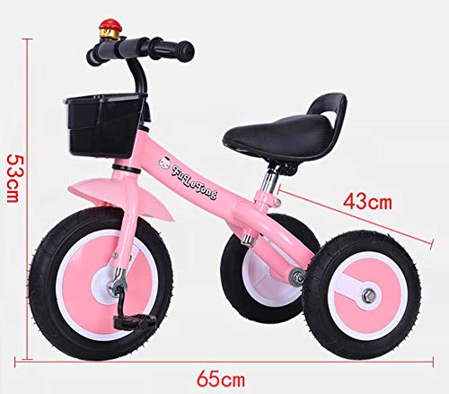 Triciclos Bebes,Coche Triciclo Niño Bicicleta Bebe Evolutivo Niños de 2-5 Años,Trike Bicicleta Asiento de PU y Ruedas de Gomas y Conducción Silenciosa Máx 30 kg, Pink