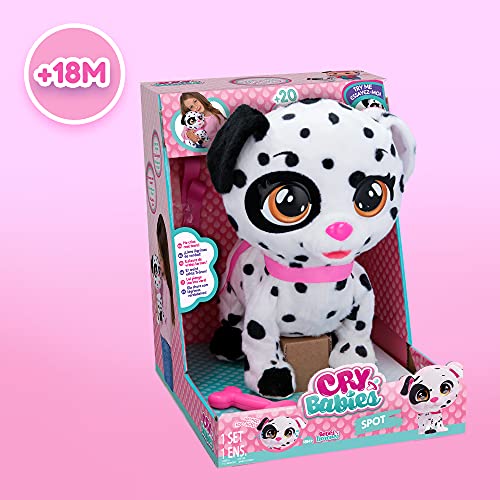 BEBÉS LLORONES Spot el dálmata Mascota de Dotty, Peluche Perro Interactivo Que Camina y Llora de Verdad, Juguete y Regalo óptimo para niñas y niños +3 Años