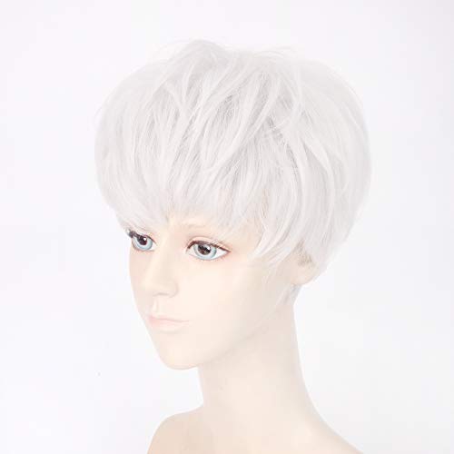 Celebrity Silver Wig Same Top Cui Shengxian Silver Harajuku Trendy Male Wig Headgear