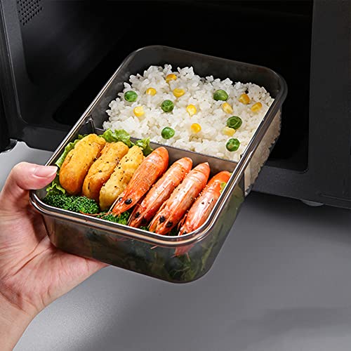 DanLink 1100ml Fiambrera Hermética para Comida Caja de Almuerzo Caja de Bento con 2 Compartimentos y Cubierto a Prueba de Fuga para Almuerzo Desayuno Cena de niños y Adultos