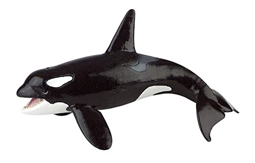 Desconocido- Bullyland 67409-Figura de Juego, Orca, Aprox. 16 cm de Altura, Figura Pintada a Mano, sin PVC, para Que los niños jueguen con la imaginación, Color Colorido (Bullyworld 67409)