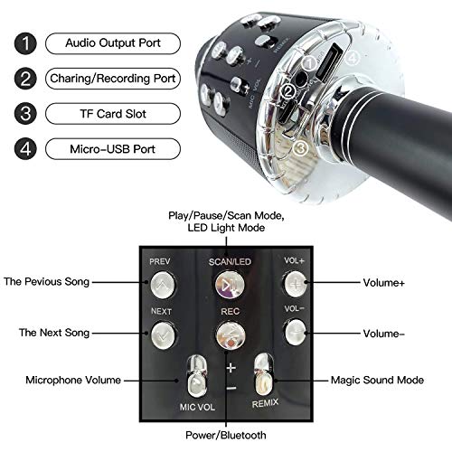 EEM Micrófono inalámbrico Karaok, 4 en 1 máquina portátil de Karaoke con Altavoz portátil Bluetooth, Reproductor KTV doméstico con función de grabación(Black)