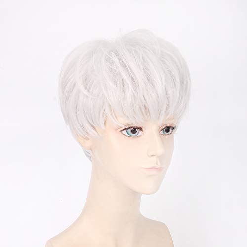 Halloween Fashion Christmas Party Dress Up Wig Celebrity Silver Wig Same Top Cui Shengxian Silver Harajuku Trendy Male Wig Headgear