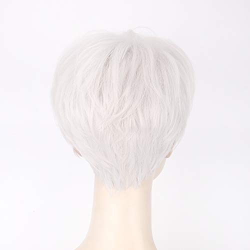 Halloween Fashion Christmas Party Dress Up Wig Celebrity Silver Wig Same Top Cui Shengxian Silver Harajuku Trendy Male Wig Headgear