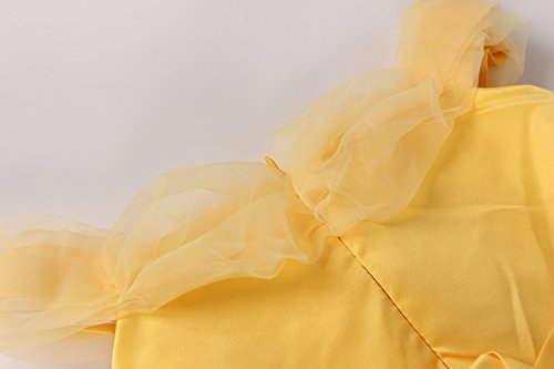 JerrisApparel Niña Princesa Belle Disfraz Tul Fiesta Trajes Vestido (5 años, Amarillo 1 con Accesorios)