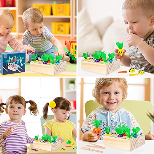 Juguetes Bebes 1 Año, Juguetes Montessori de Madera Juegos Educativos Niños Juguetes Zanahoria Clasificación Rompecabezas Madera Juguetes Regalo Bebe Favorito de Cumpleaños/Navidad