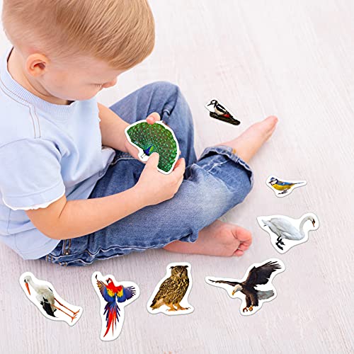 MAGDUM Imanes Nevera niños Aves - 25 Grandes imanes Bebes - Animales de Juguete - Juguetes niños 3 años - Juegos educativos niños 3 años - Nevera Juguete - Iman de Nevera Infantil - Juego imanes