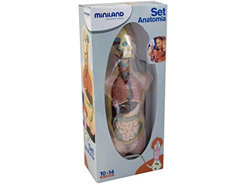 Miniland Educational 99020 - Set anatomía