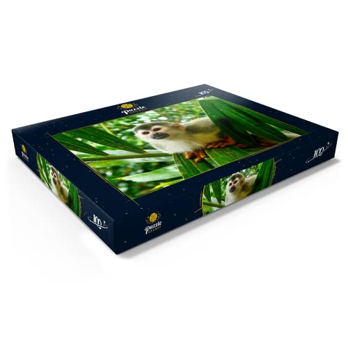 Mono Ardilla, Costa Rica - Premium 100 Piezas Puzzles - Colección Especial MyPuzzle de Puzzle Galaxy