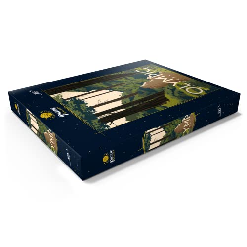 Parque Nacional Olímpico, Washington, EE.UU, Póster Vintage De Estilo Art Deco, Ilustración - Premium 100 Piezas Puzzles - Colección Especial MyPuzzle de Puzzle Galaxy