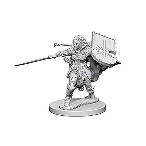 Pathfinder: Deep Cuts Unpainted Miniatures: Human Female Paladin