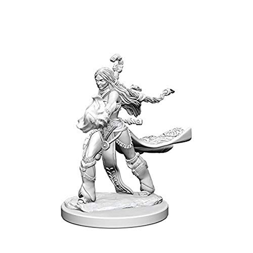 Pathfinder: Deep Cuts Unpainted Miniatures: Human Female Sorcerer