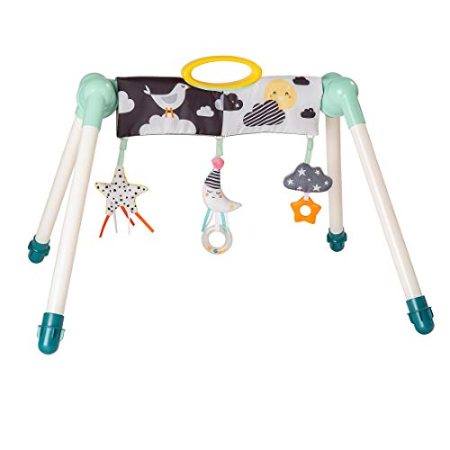 Taf Toys 12525 - Pórtico educativo Mini Luna