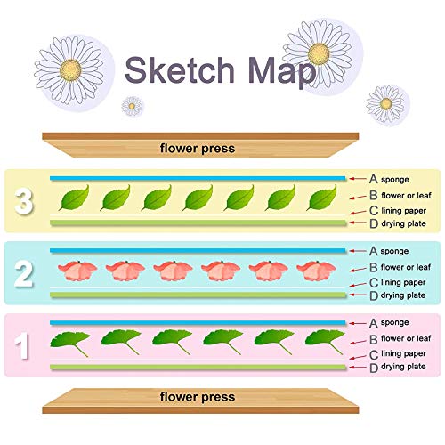 WANDIC Kit de Prensa de Flores, Kit de Arte de Madera Engrosada para prensar Plantas, Libro de prensado de Flores y Hojas de Prensa para Manualidades y Manualidades y Aprendizaje al Aire Libre