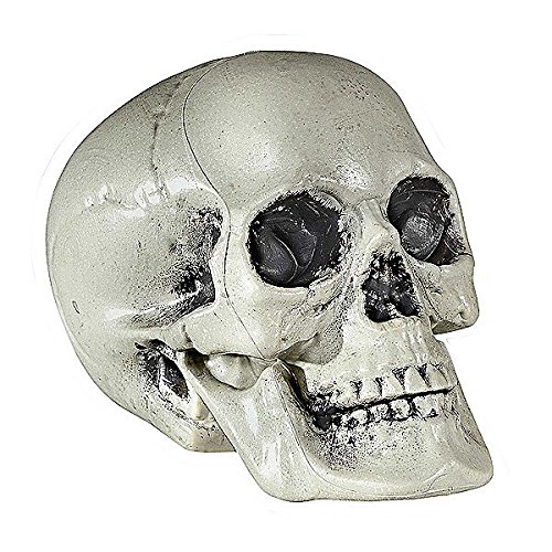 Widmann 01379 - cráneo de plástico, tamaño de alrededor de 21 cm