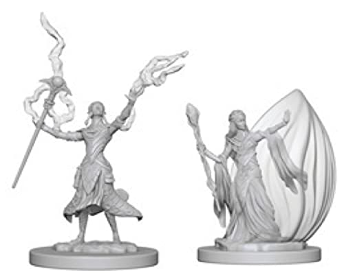 WizKids D&D Nolzur's Marvelous Miniatures - Male Elf Paladin