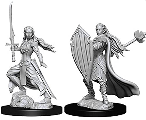 WizKids D&D Nolzur's Marvelous Miniatures - Male Elf Paladin