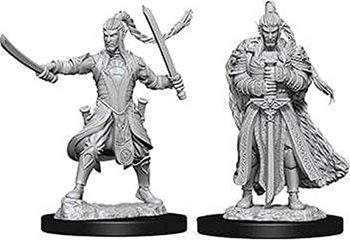 WizKids D&D Nolzur's Marvelous Miniatures - Male Elf Paladin