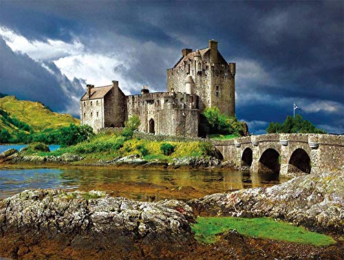 XiuTaiLtd Majestic Castles-Puzzle De 1000 Piezas, 75X50Cm, Regalos Navideños para Amigos