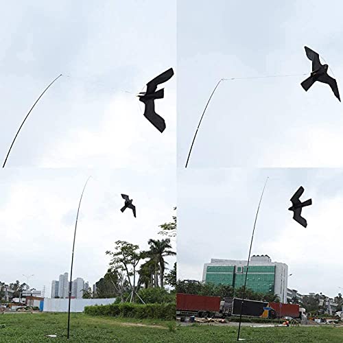 ZYLEDW Aves Rapaces simuladas contra Palomas, Cuervos, Cuervos y Otras Aves Cometas, repelentes de pájaros Cometa espantapájaros Flying Hawk expansible con pértiga telescópica de 7 m