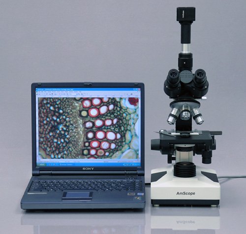 AmScope T490A-M Cl-nica Laboratorio Veterinario trinocular microscopio con c-mara de 1,3 MP