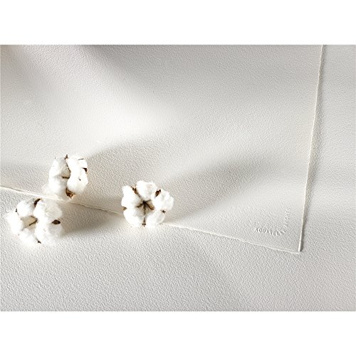 Arches - Papel de acuarela, bloc 12 hojas engomado 1 lado, grano fino, 300 g/m², 23 x 31 cm