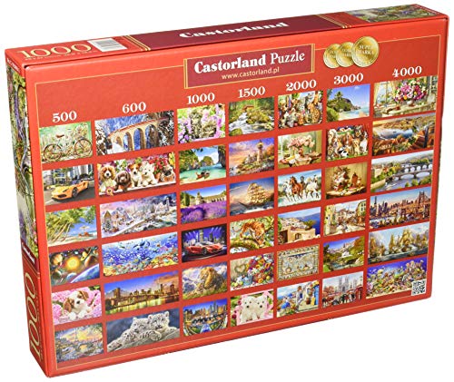 Castorland Jigsaw 1000 pc-The Flower Mart, Multicolor (5904438103898)