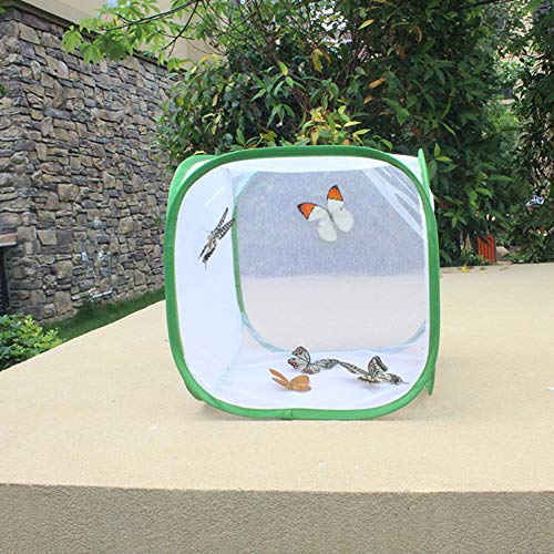 Cuque Venta Loca Jaula Grande para Hábitat De Insectos Y Mariposas, Hábitat De Mariposas, para Jaula De Mariposas En El Patio Trasero(Los 30 * 30 * 30cm)