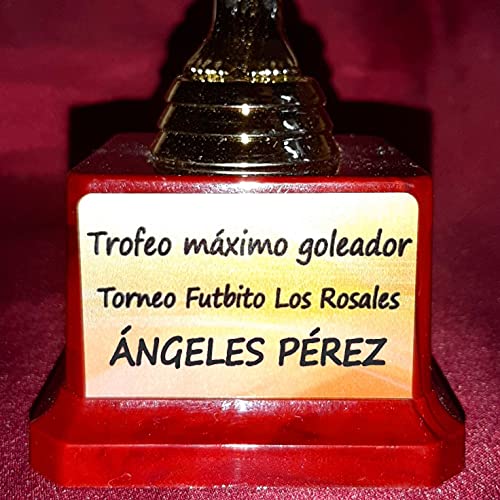 dolarestore Copa Trofeo con Textos Personalizados Especial para Regalo Base imitación Madera 17x9 cm