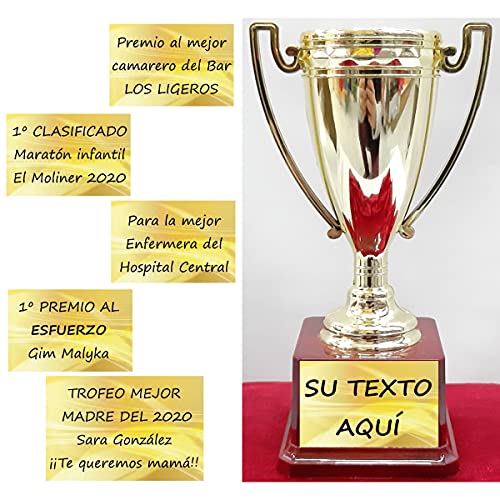 dolarestore Copa Trofeo con Textos Personalizados Especial para Regalo Base imitación Madera 17x9 cm