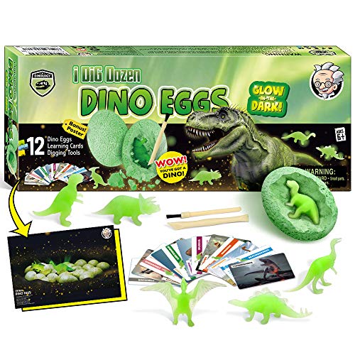 Dr. Daz Excavación Fluorescentes Dinosaurios Huevos De Dinosaurio Dino Party Juguetes Arqueología para Niños Ciencias Stem Regalo