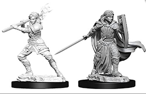 Dungeons & Dragons D&D Nolzur's Marvelous Unpainted Miniatures: Human Fighter Male