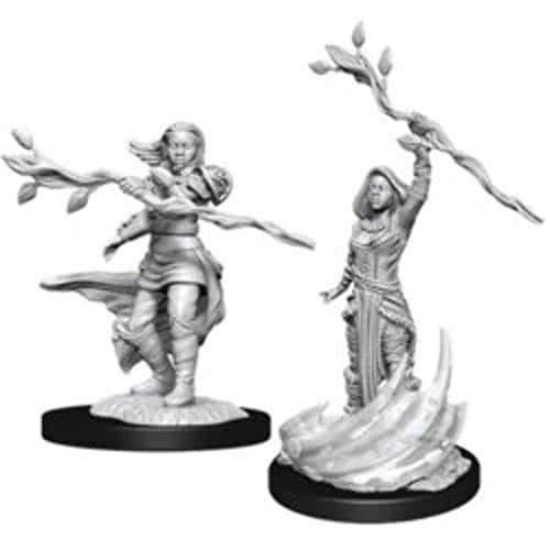 Dungeons & Dragons D&D Nolzur's Marvelous Unpainted Miniatures: Human Fighter Male