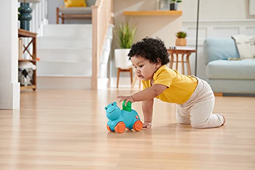 Fisher-Price Movimientos Kit de juego con bola león, cochecito hipopótamo y balancín de animales, juguete para bebés +9 meses (Mattel HFJ94)