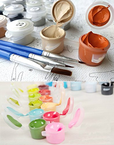 Fuumuui Lienzo de Bricolaje Regalo de Pintura al óleo para Adultos niños Pintura por número Kits Decoraciones para el hogar-Gloria de la mañana 16 * 20 Pulgadas