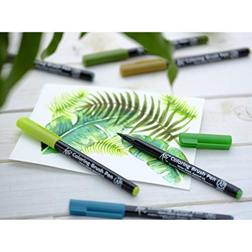 KOI COLOR BRUSH BOTANIC.EST.6#