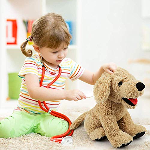 LotFancy Peluche Perro Golden Retriever 30,5cm, Peluches Bebe Suave y Seguro, Sentirse Cómodo Juguete Mejor Regalo para Niños, Parejas, Chicos, Mascotas, Navidad